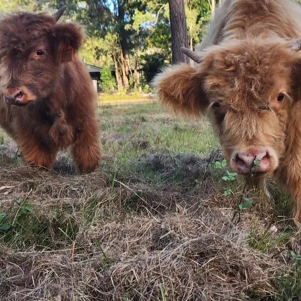 Country Stay on south side of Brisbane, מלון בLogan Village