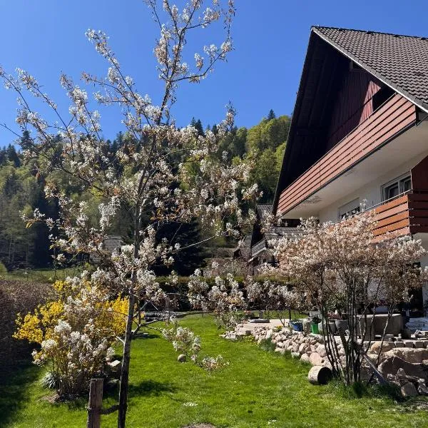 Geißentalblick Menzenschwand Ruhe, Natur & Infrarot, Hotel in St. Blasien