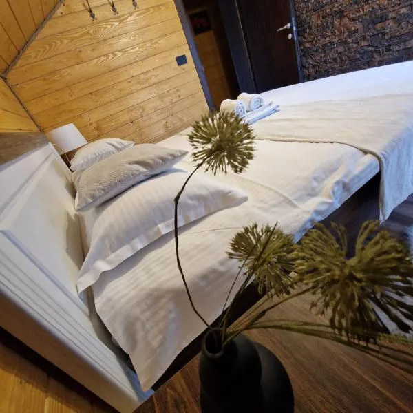 Cabana Tesa Borșa MM, hotel a Statjunea Borsa