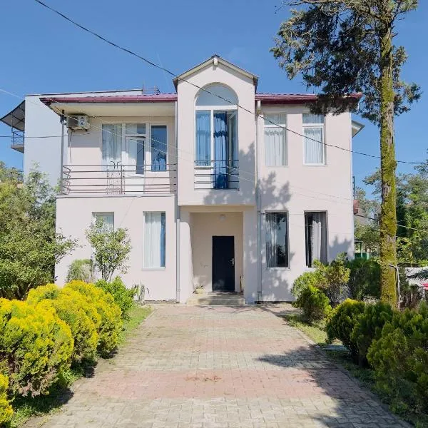 Gulis Home, отель в Шекветили