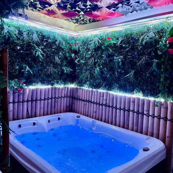 Appartement avec Jaccuzi & Jardin, hotel a Castres