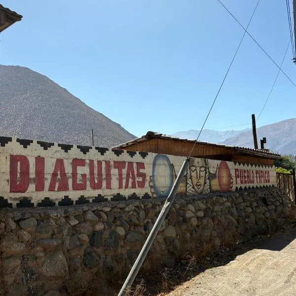 VALLE DEL ELQUI,Diaguitas, Vicuña, отель в городе Диагита