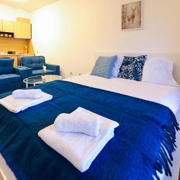 New Studio near Pirin Sence Bansko w Pool&Parking, Hotel in Raslog