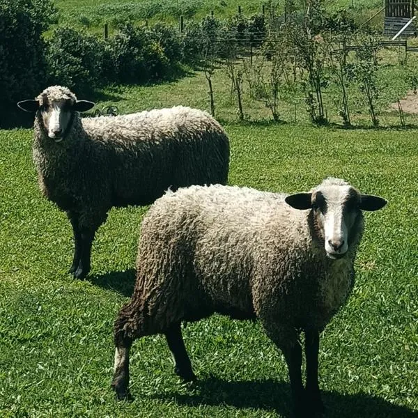 Moimenta Guest House, hotel en Mindelo