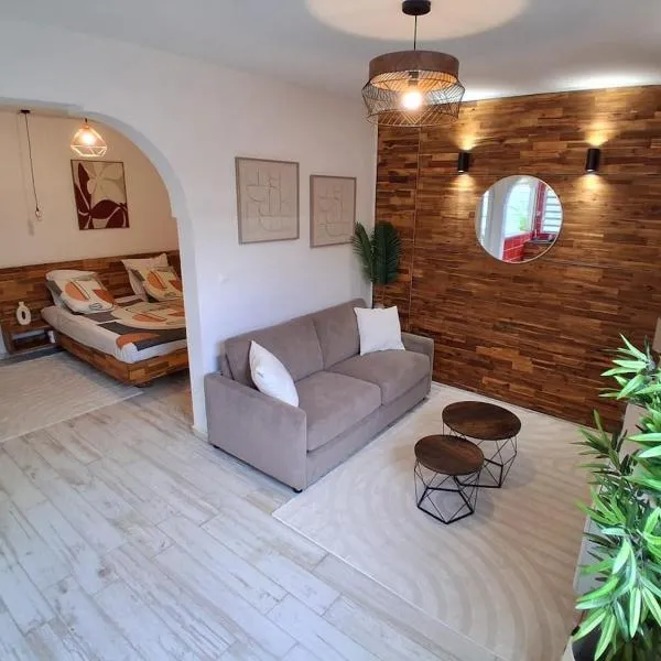 Woody Studio Tropical Suite with Private Pool, hotel em Les Abymes