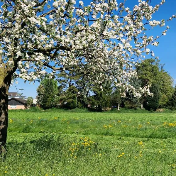 Au में, होटल Studio Verde
