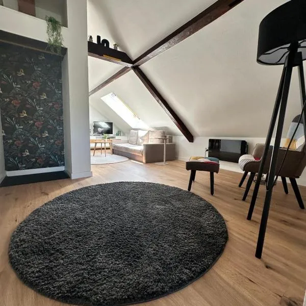 Haus Lilium-Gemütliche Dachgeschoss Wohnung, hotel em Freudenstadt