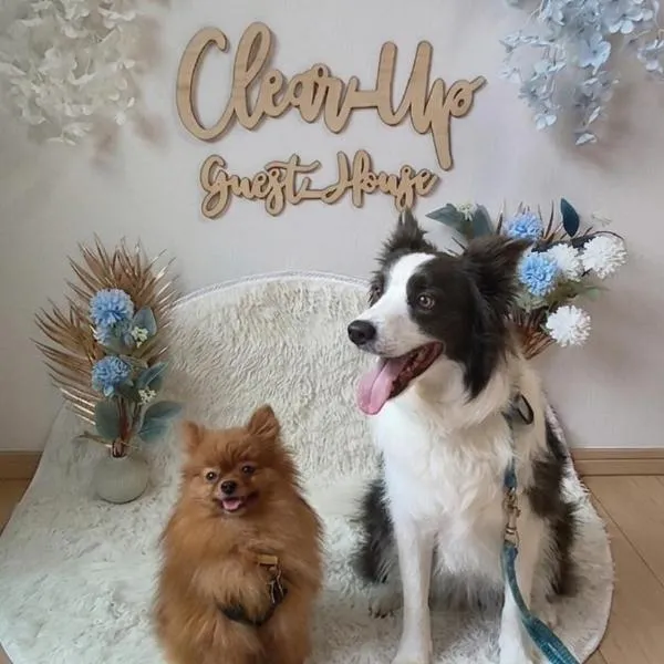 ペット可 Clear Up Guest House、高槻市のホテル