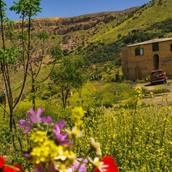 Dana horizon hotel: Dana şehrinde bir otel