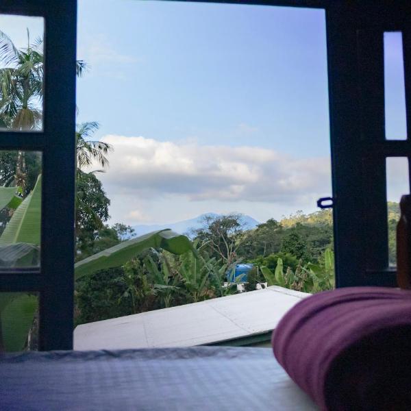Hogar na mata - Foto 2