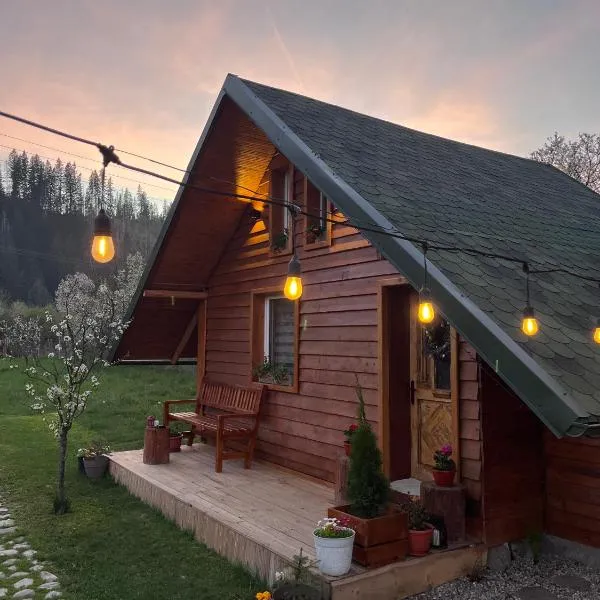 Viesnīca EscapeTinyCabin by IezerVenture pilsētā Lereşti