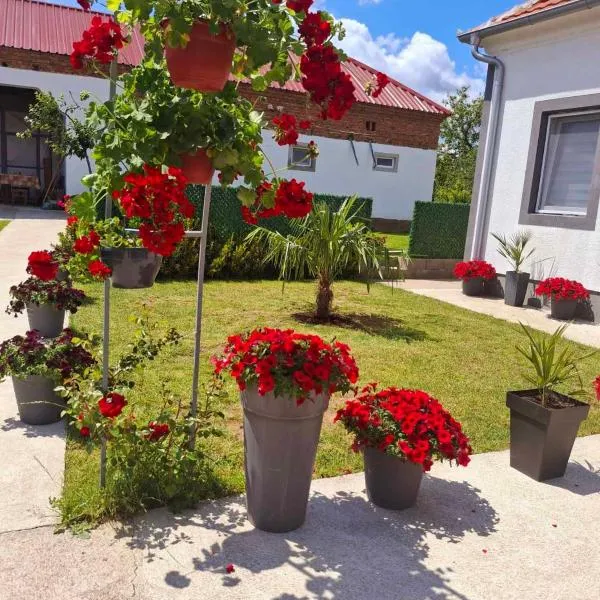 Studio Villa Ruža, hotel v destinácii Golubac