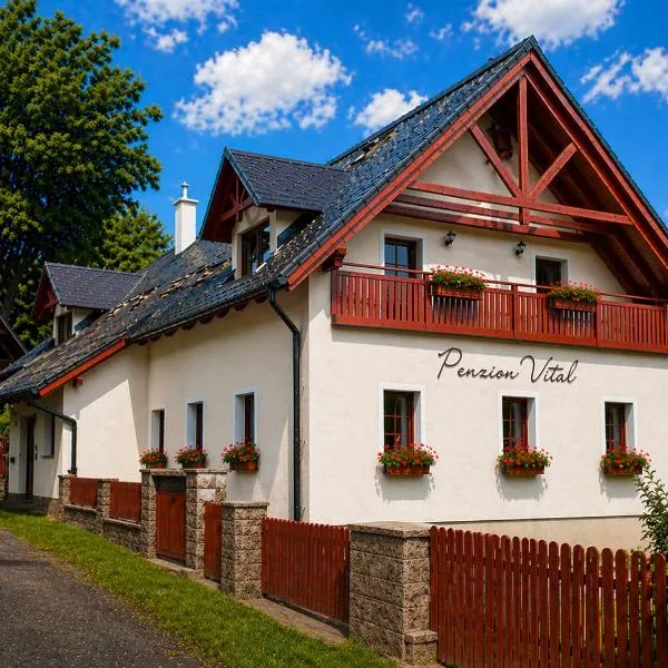 Penzion Vital – hotel w mieście Liberec