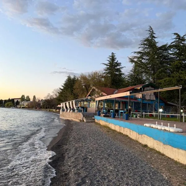 Villa art colony, hotel a Ohrid