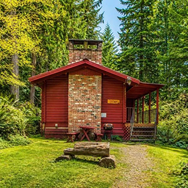 Cedar at Rainier Lodge (0.4 m from Mt.Rainier), Hotel in Ashford