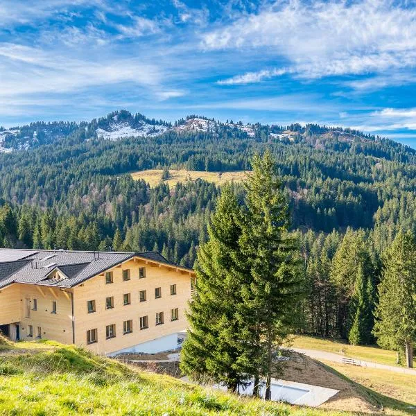 Berghotel Wald&Wiesn，巴爾德赫旺的飯店