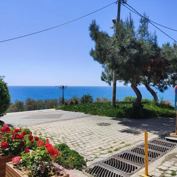 Serene Vintage, hotel in Nea Moudania