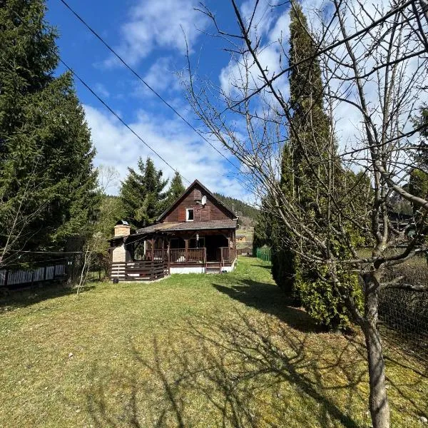 Mountain Cabin Retreat - Terrace, BBQ, Hot Tub, hotel en Lunca Bradului