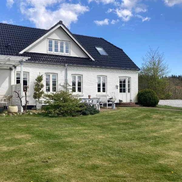 Private country side apartment – hotel w mieście Holstebro