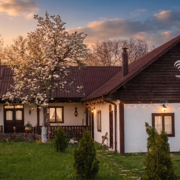 Pensiunea Cocoș, hotel u gradu 'Spulber'