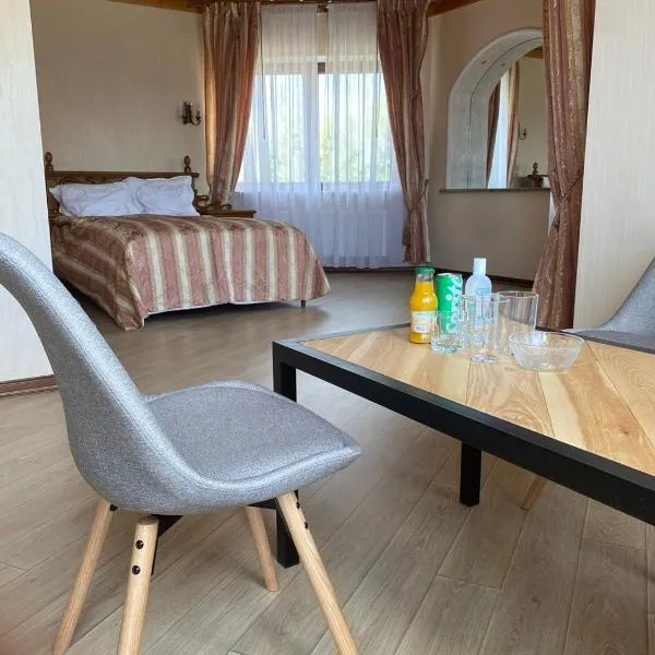 Castle Apartments، فندق في Schaslyve
