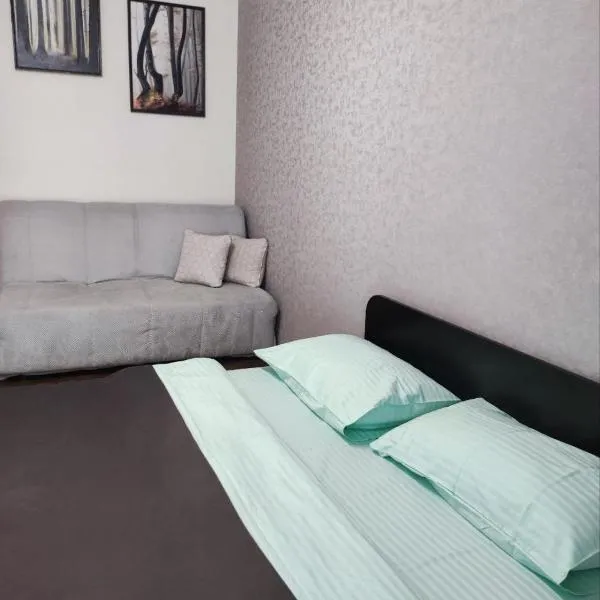 Апартаменти в Центрі Перлина Проскурова, hotel din Hmelnîțkîi
