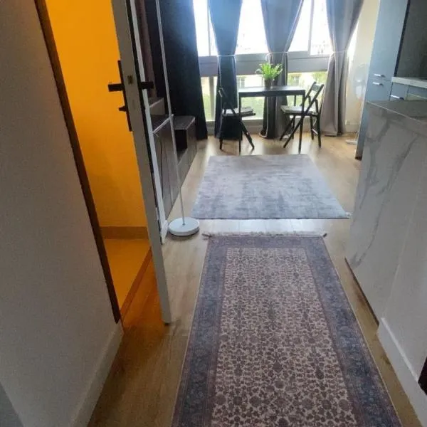 Charming studio in Paris 12th arrondissement, Hotel in Paris