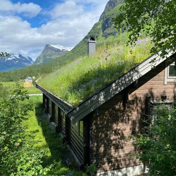 Cozy log cabin in Geiranger, hotel in Geiranger