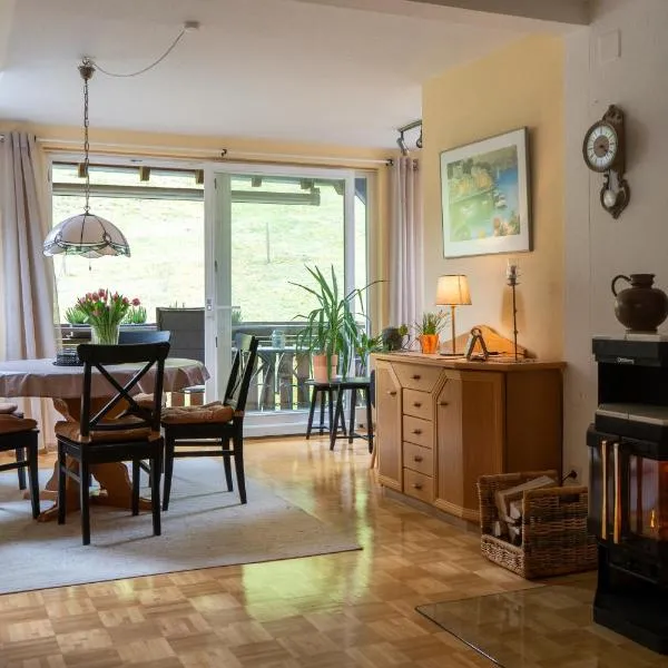 Viesnīca Ferienwohnung Belchenzeit pilsētā Minstertāle