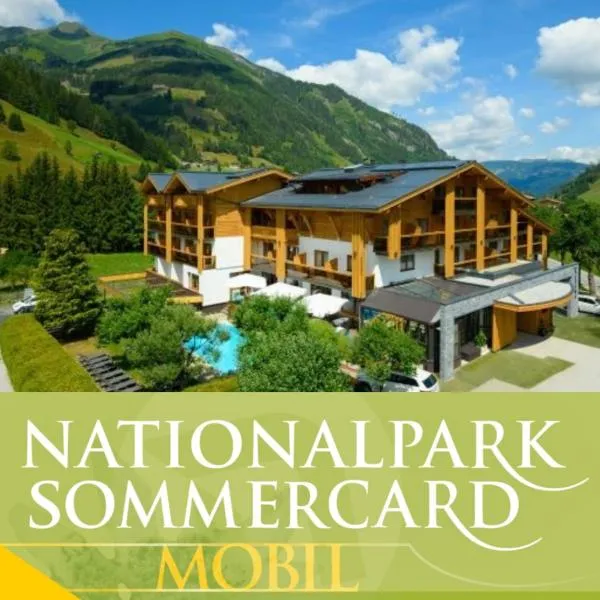 Hotel Alpina、ラウリスのホテル