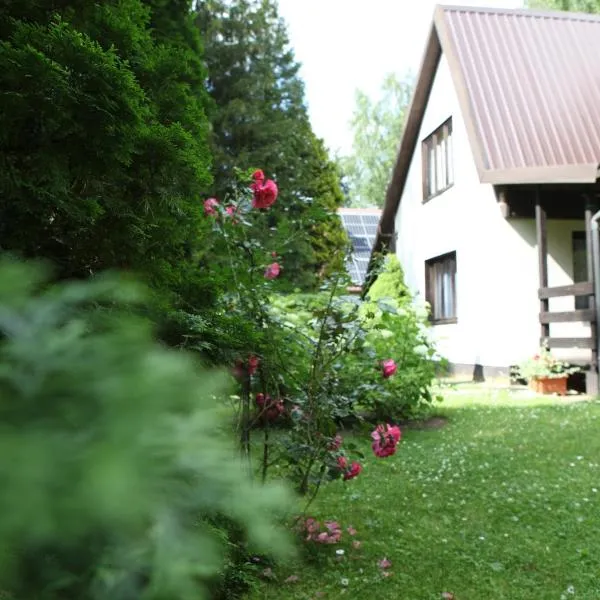 Domek Mazury u Basi, hotel en Jerutki