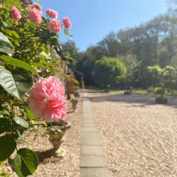 B&B Angelbeeck, Hotel in Afferden