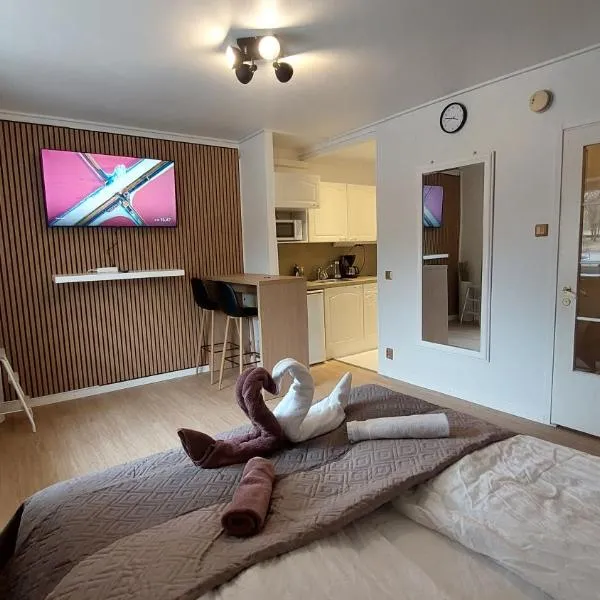 Modern studio apartment near the harbor and city center, отель в Лаппеенранта