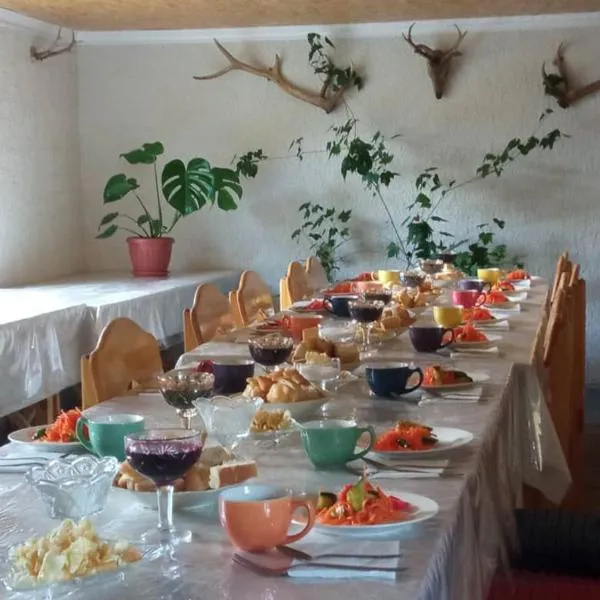Bugu Too Guest House، فندق في Kaindy