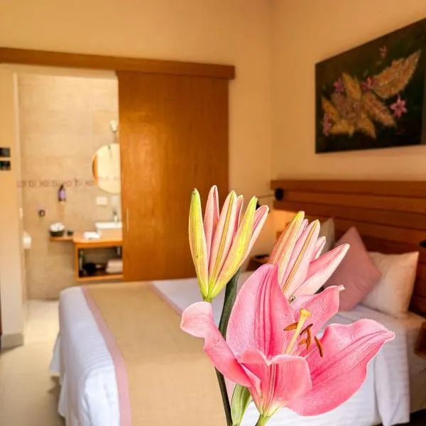 ArcoSodi Hotel Boutique, hotell i Oaxaca