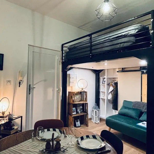 Chouett'studio, viešbutis mieste Dižonas