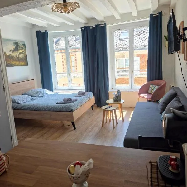 Studio Bourgogne 20, Hotel in Orléans