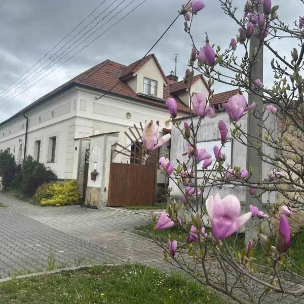 Privát u koní, отель 
