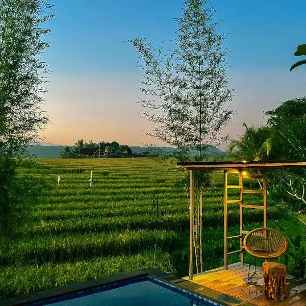The SUN House