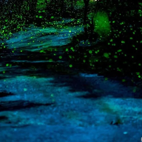 Shitaoyuan, hotel a Sanyi