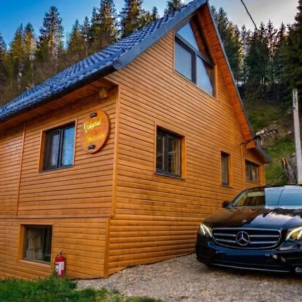 Refugiul Apusenilor, hotel em Scarisoara