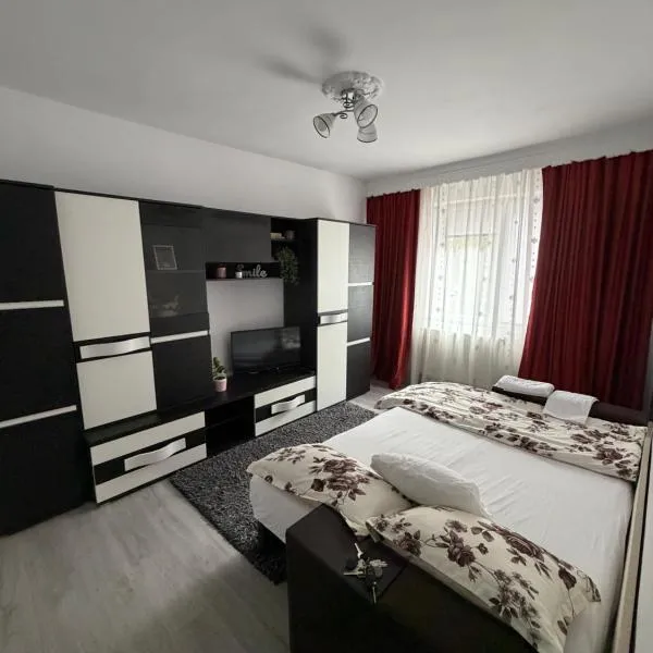 Studio Lotus Zalău – hotel w mieście Zalău
