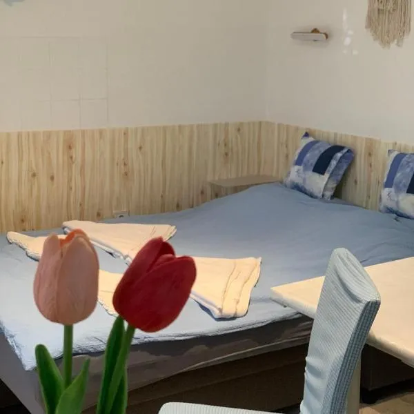 Gyula में, होटल Pihenő Apartman Gyula