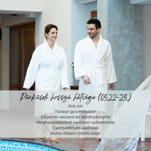 Aranyhomok Hotel Business & Relax, Hotel in Kecskemét