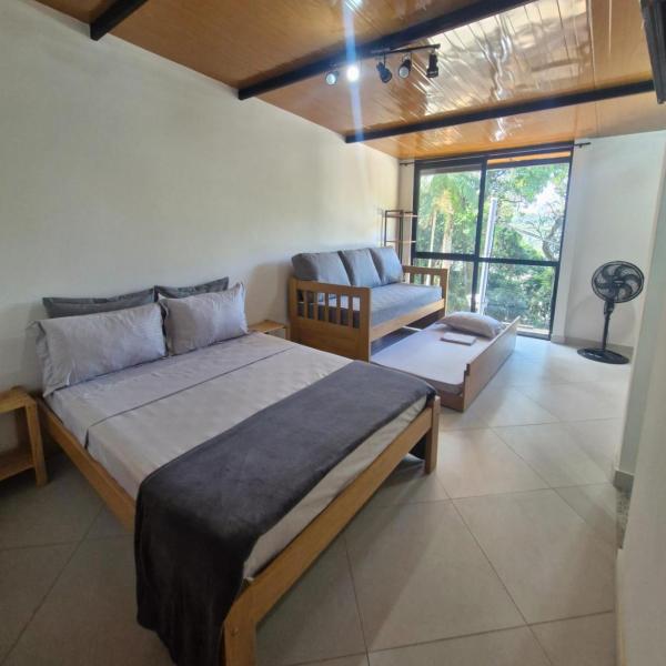Loft da Árvore