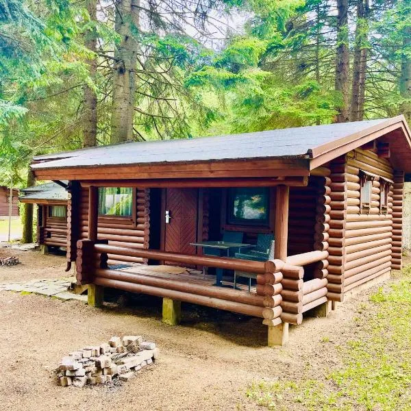 Villas Jagoda & Malina, hotel Borovecben