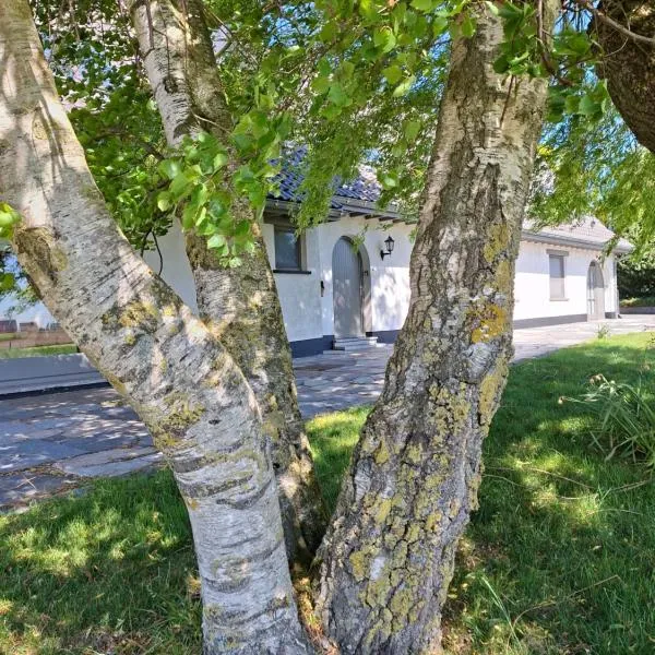 The Cosy Hill, hotel in Poperinge