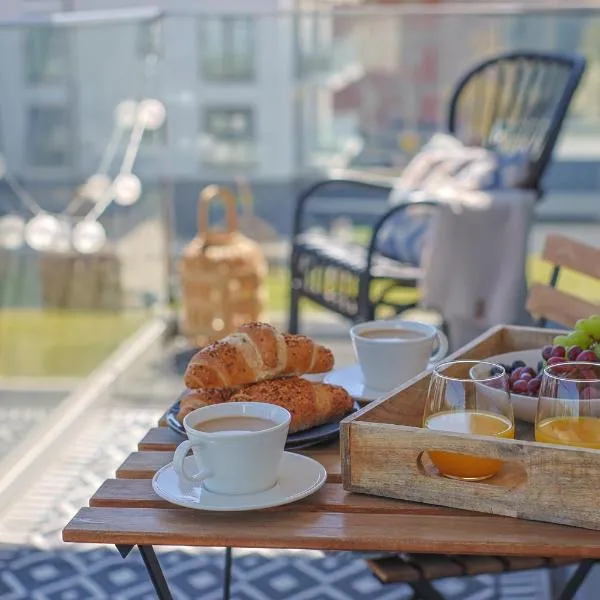 Czarny Słoń - elegancki apartament z klimatem, hotel di Częstochowa