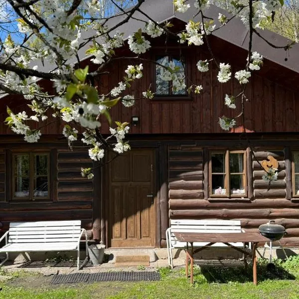 SRUB pod třešněmi - Cherry Trees Cabin, Hotel in Vrchlabí