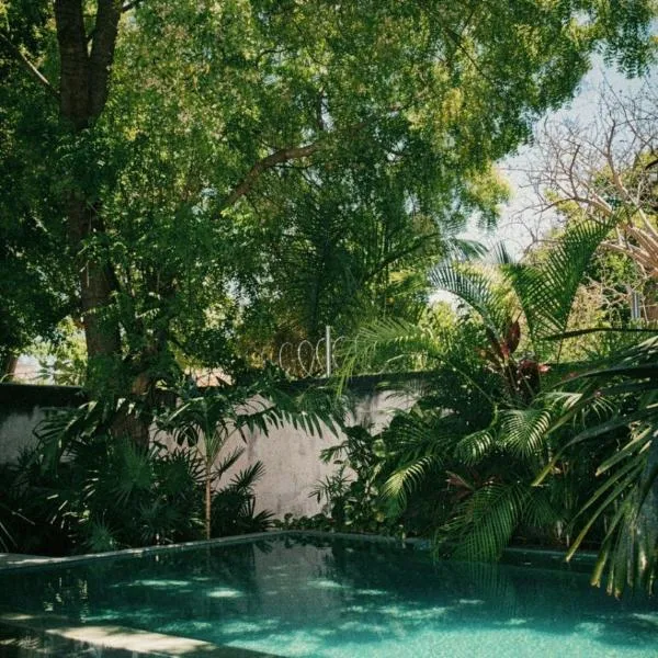 Artos Hostel, hotel en Mérida